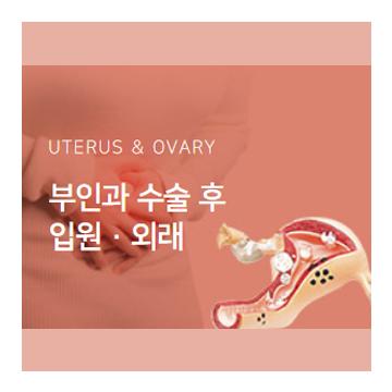 부인과 수술 후 입원·외래 - UTERUS ＆ OVARY