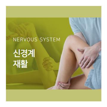 신경계 재활 - NERVOUS SYSTEM